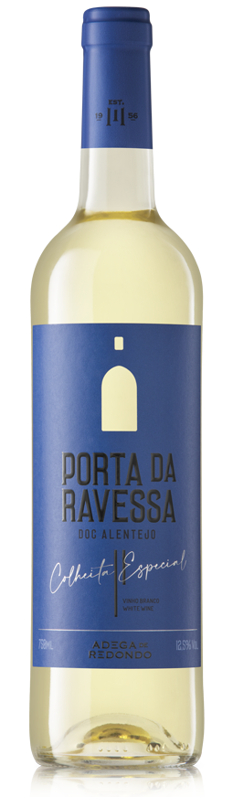 BEM VINDO! 1